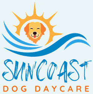 Suncoast Dog Daycare